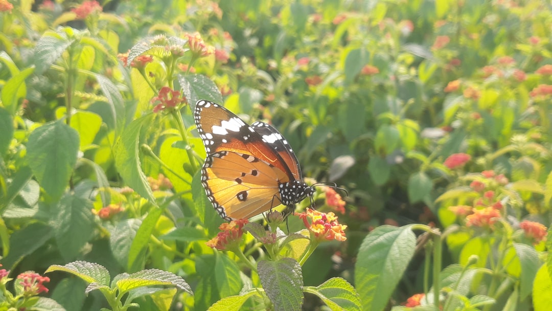 Adaptability