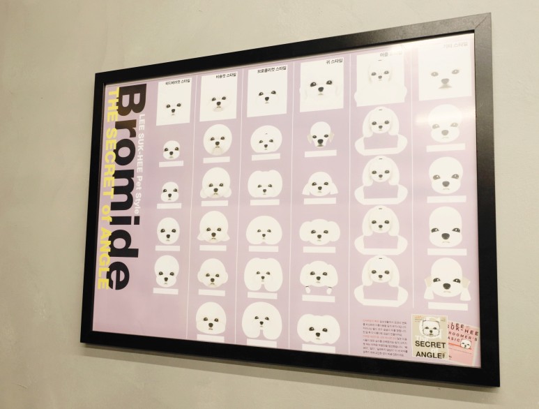 황금동 '도그 데이트' 가게 위쪽 굿! 대구 애견호텔 미용 3