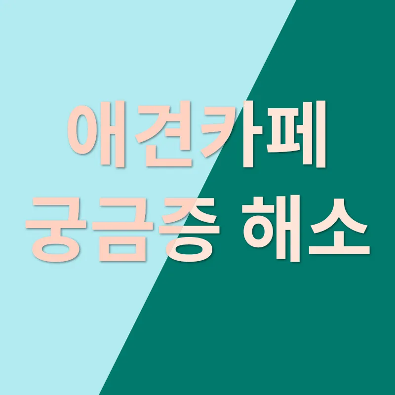 애견카페 펫빌리지 리뷰_4