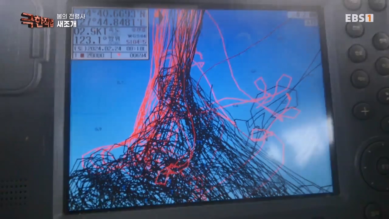 TV - 전 국민의 평생학교 EBS봄의 전령사! 새조개, 미나리, 주꾸미.mp4_20240316_171248.231.jpg