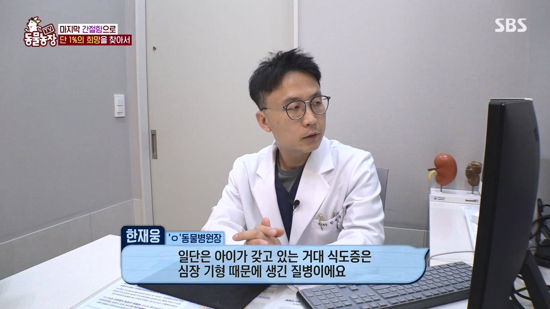 TV 동물농장.E1164.240324p-NEXT.mp4_20240324_172346.562.jpg