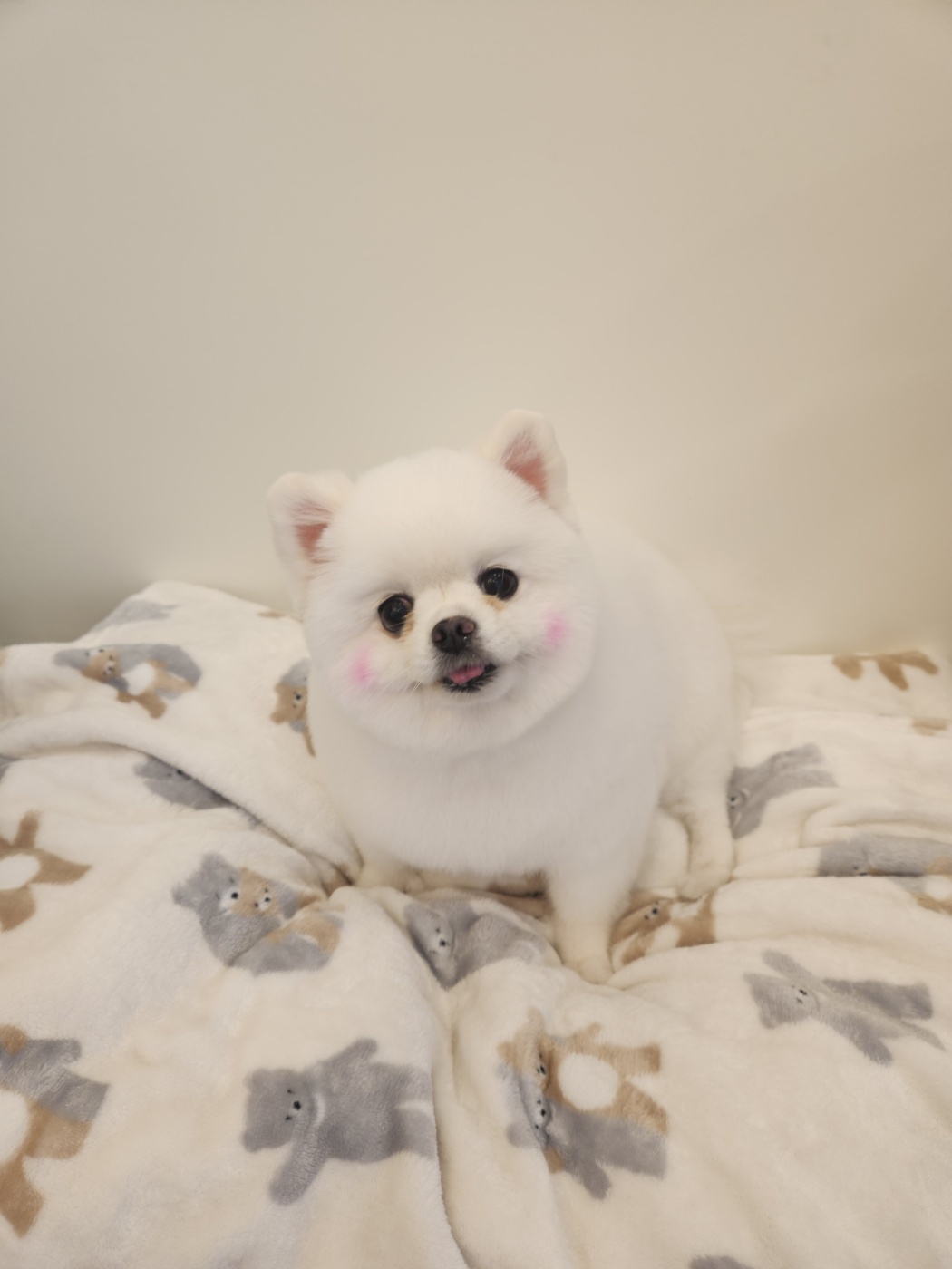 소미미용실 이미지