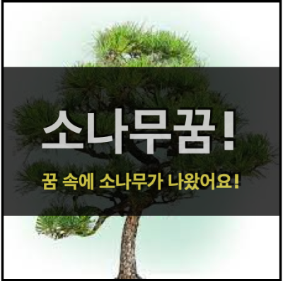  소나무꿈! - 꿈에 소나무가 나왔어요!