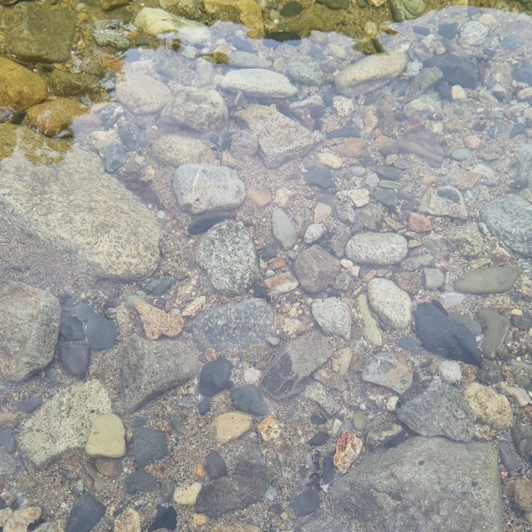 삼척 덕풍계곡펜션 추천 아름골펜션 :) 여름휴가 강원도 41