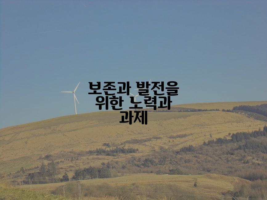 보존과 발전을 위한 노력과 과제