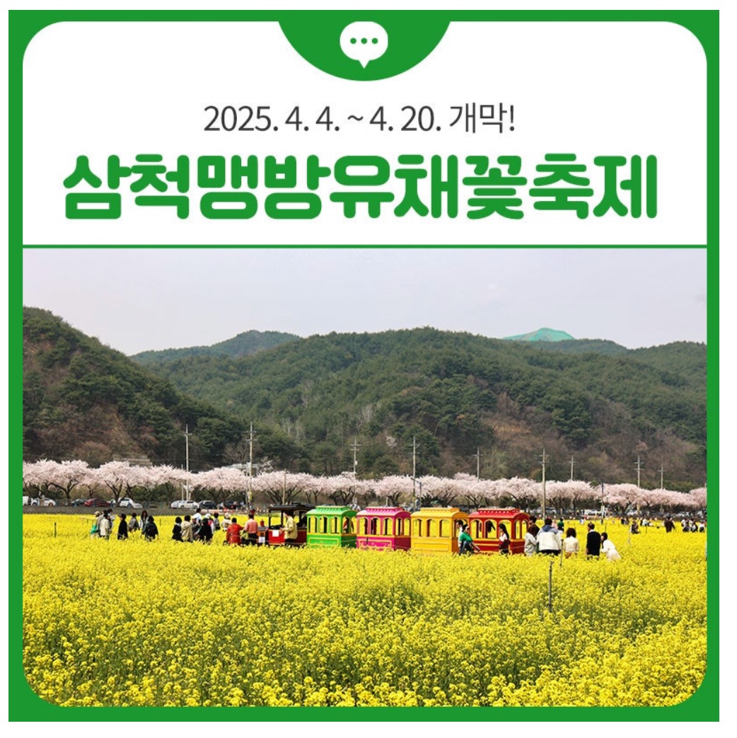 삼척 맹방유채꽃 축제 기본정보