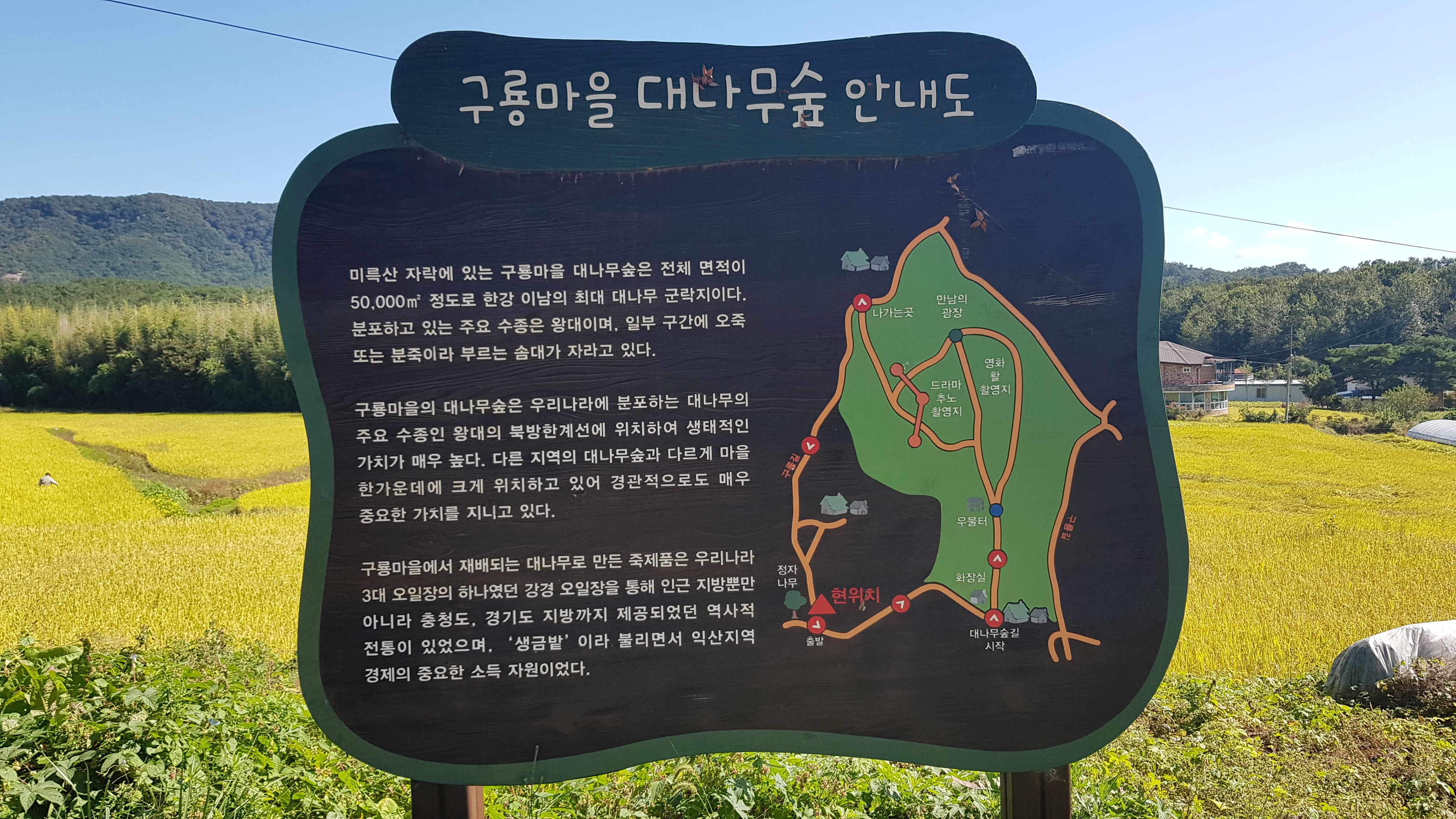 구룡마을 대나무숲 안내도