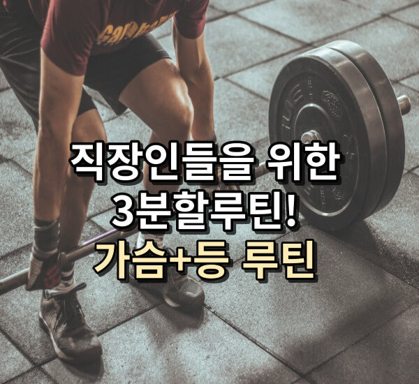 3분할루틴 운동프로그램&#44; 가슴운동과 등운동