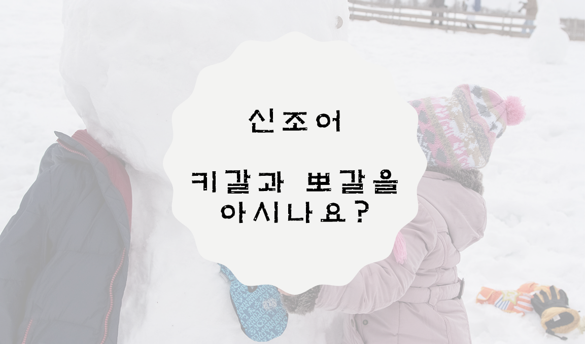  신조어 키갈 & 뽀갈을 아시나요? / 키갈 뜻, 뽀갈 뜻 정리