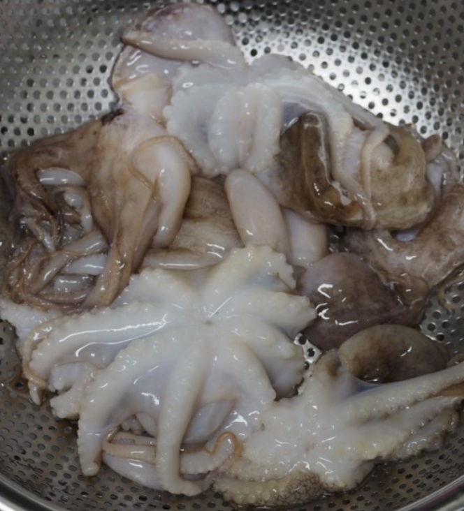 쭈꾸미 효능