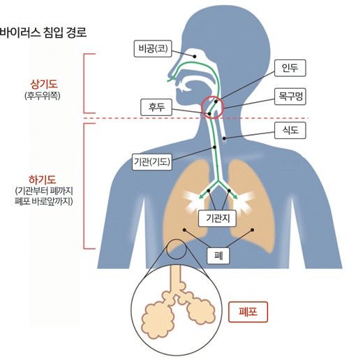 우리소아과 이미지