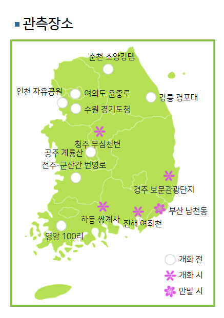 봄꽃 개화현황 - 벚꽃 주요장소 : 출처 : 기상청 홈페이지