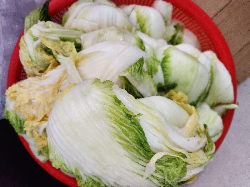 김장 김치 맛있는 양념 20포기