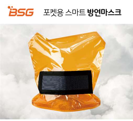 비에스지 이미지