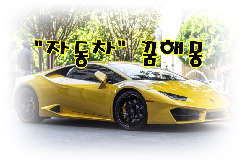  [무료꿈해몽]자동차 꿈;운전하는꿈,애인과드라이브하는꿈,차사고꿈,자동차가고장나는꿈,엔진소리가요란한꿈,자동차가하늘을나는꿈,차에치이는꿈,차에송장을싣고가는꿈,차에금을싣고가는..