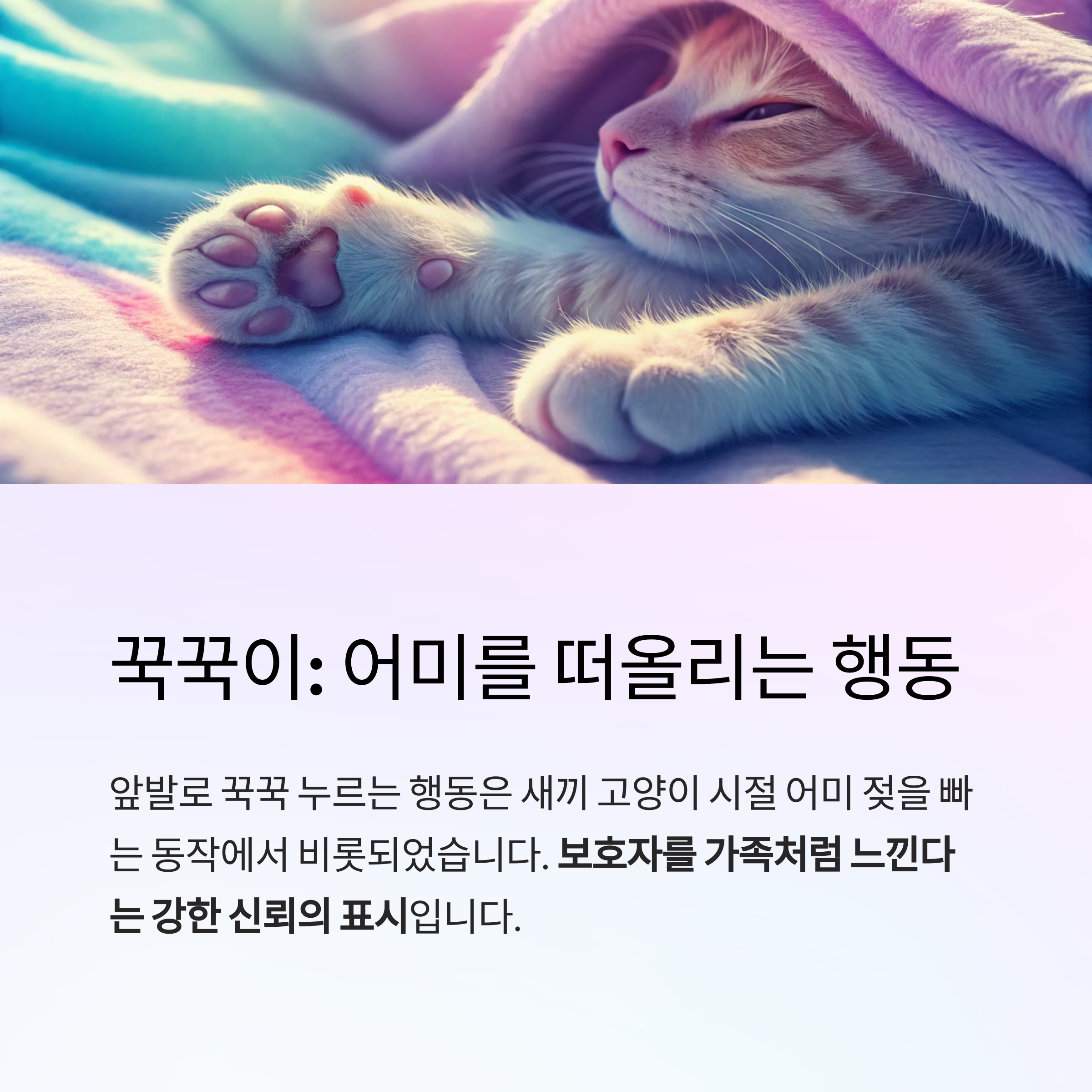 꾹꾹이