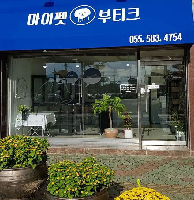 마이펫부티크