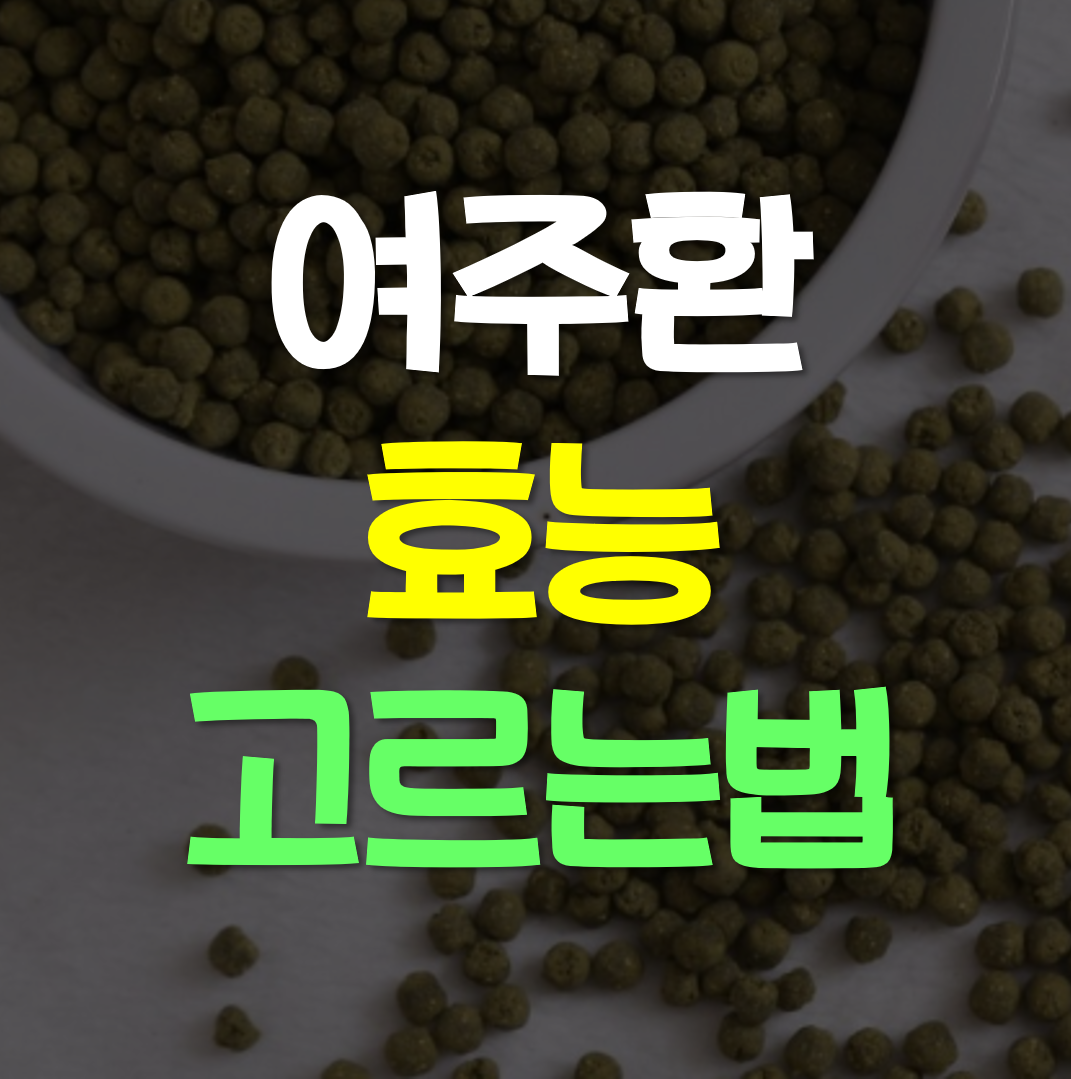  여주환 효능 파는곳