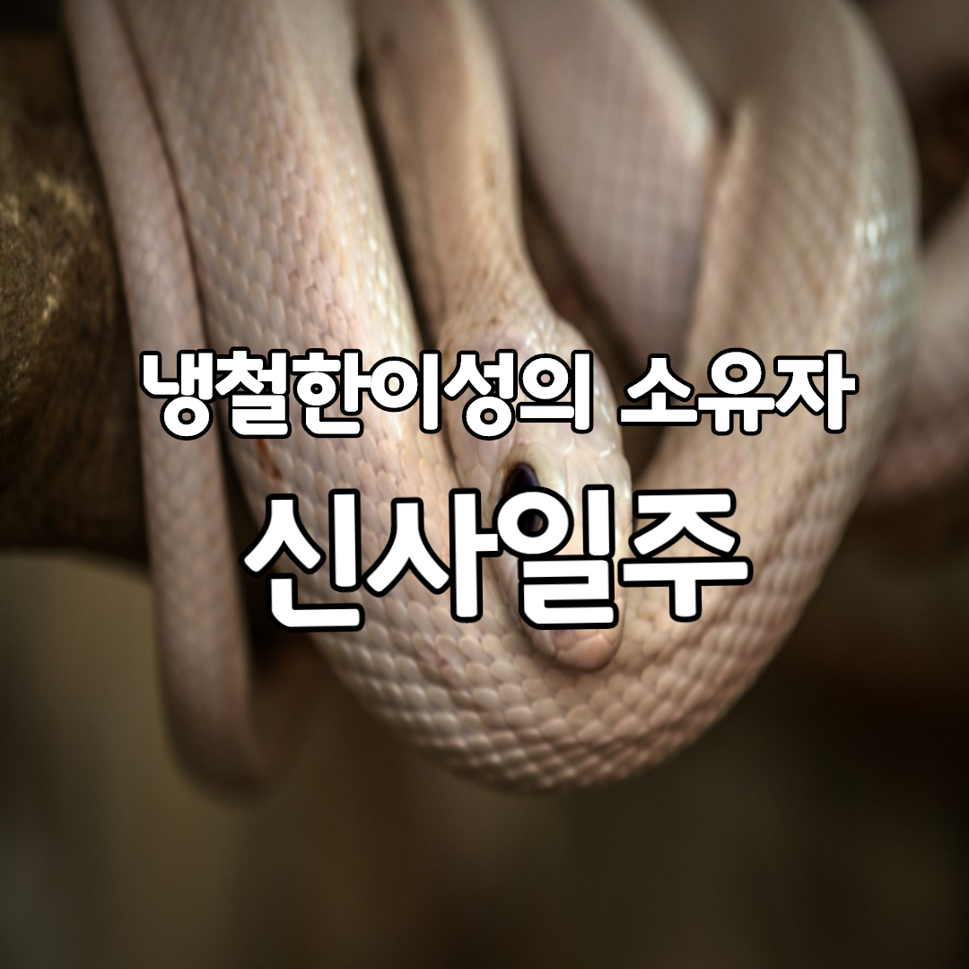  18. 냉철한 이성의 소유자, 신사일주