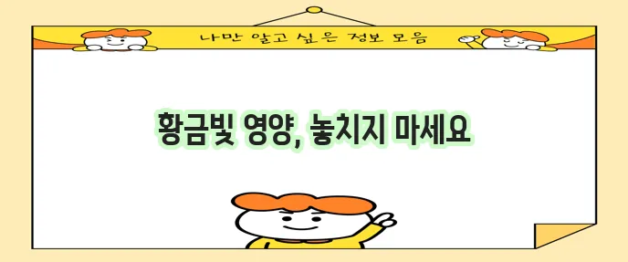 베타카로틴 풍부한 음식 5가지 꼭 챙기세요