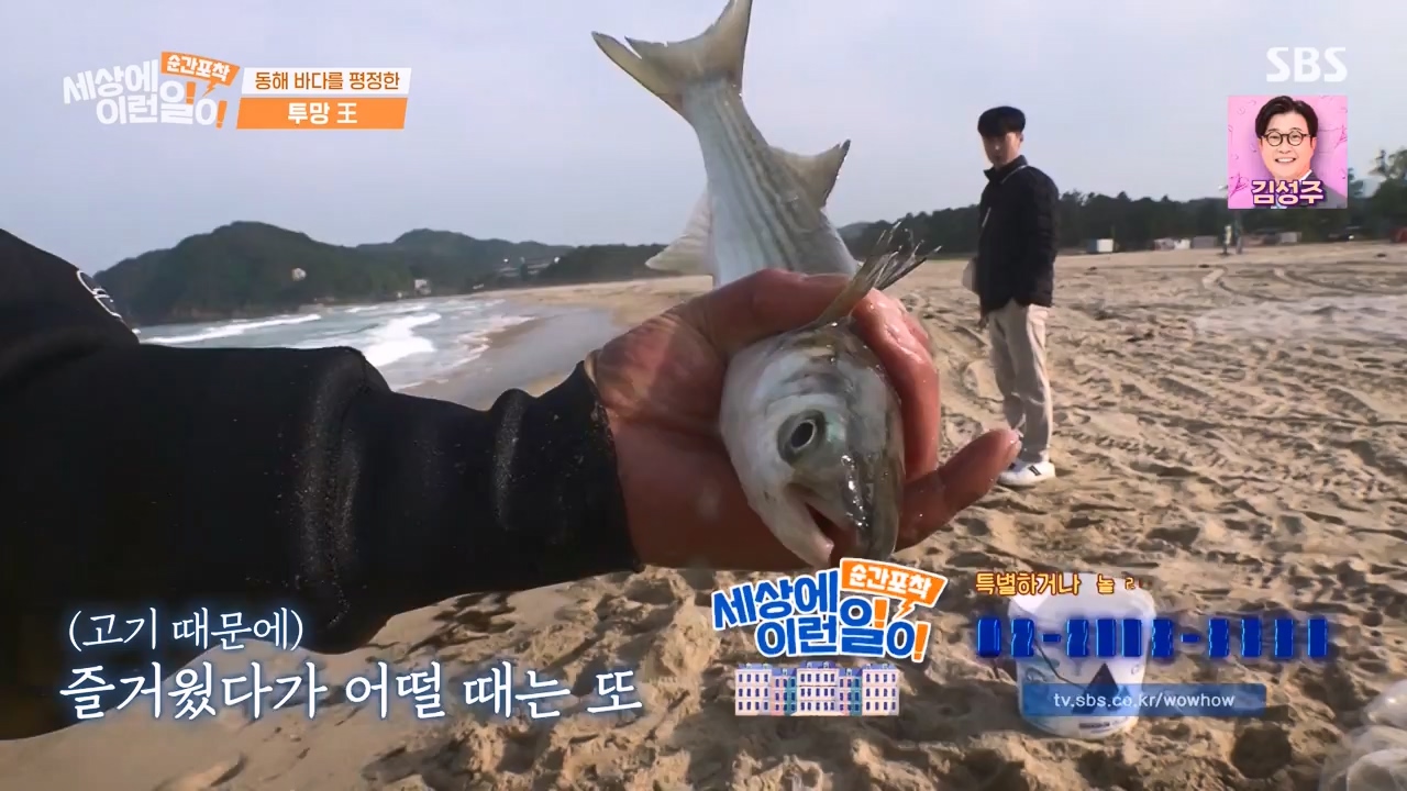 순간포착 세상에 이런일이.E1231.230604p-NEXT.mp4_20230609_202228.351.jpg