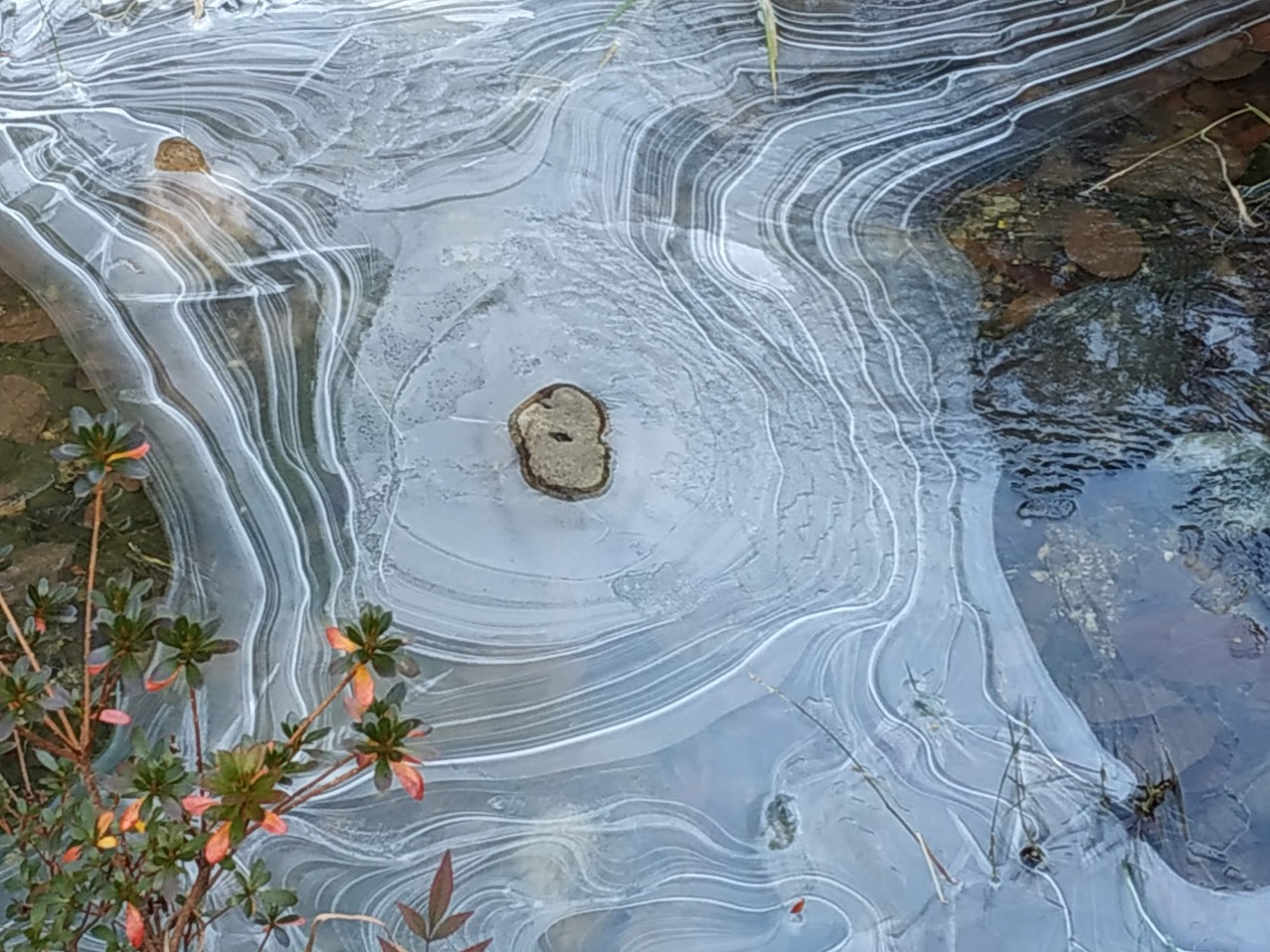얼어붙은 연못 1