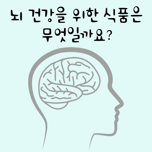 뇌 건강을 위한 식품은 무엇이 있을까요? 뇌와 머리에 좋은 음식 Best 3!