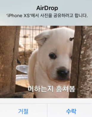  안드로이드로 에어드롭처럼 파일전송하기 니얼바이 쉐어