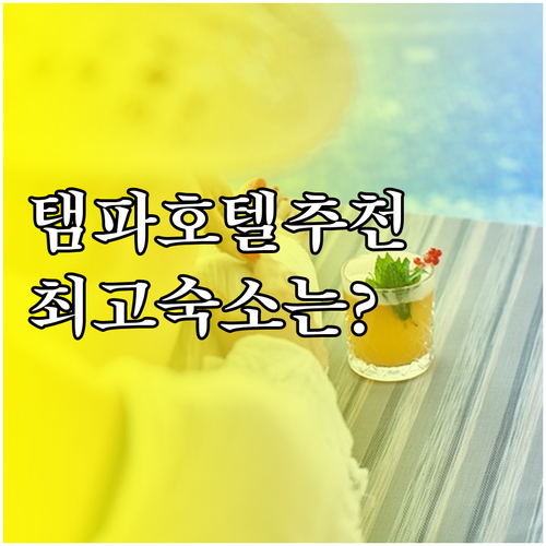 탬파 여행 숙소 선택 고민 끝 최고의