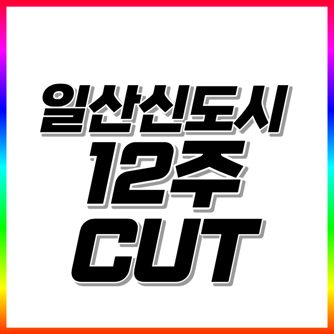  일산신도시 초등 수학과외 일산 고등 중학생 영어과외 국어 과학 전과목 일대일 선생님 내신관리