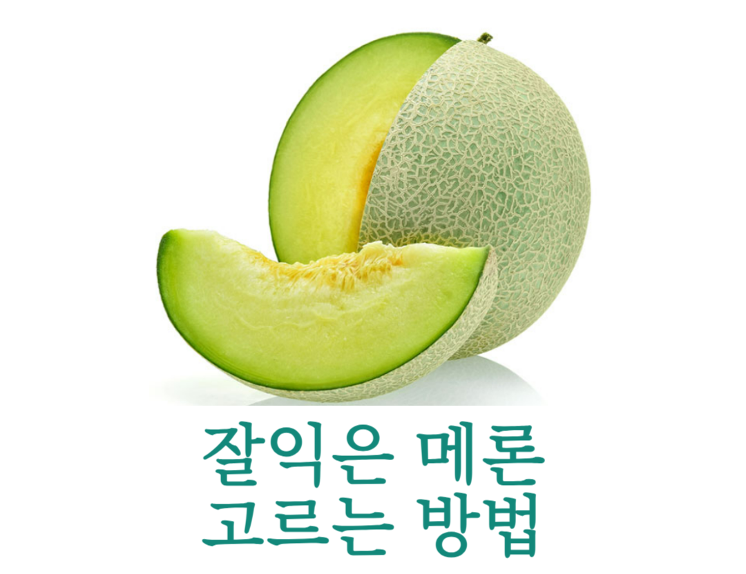  멜론 잘 익었는지 확인 고르는 4가지 방법