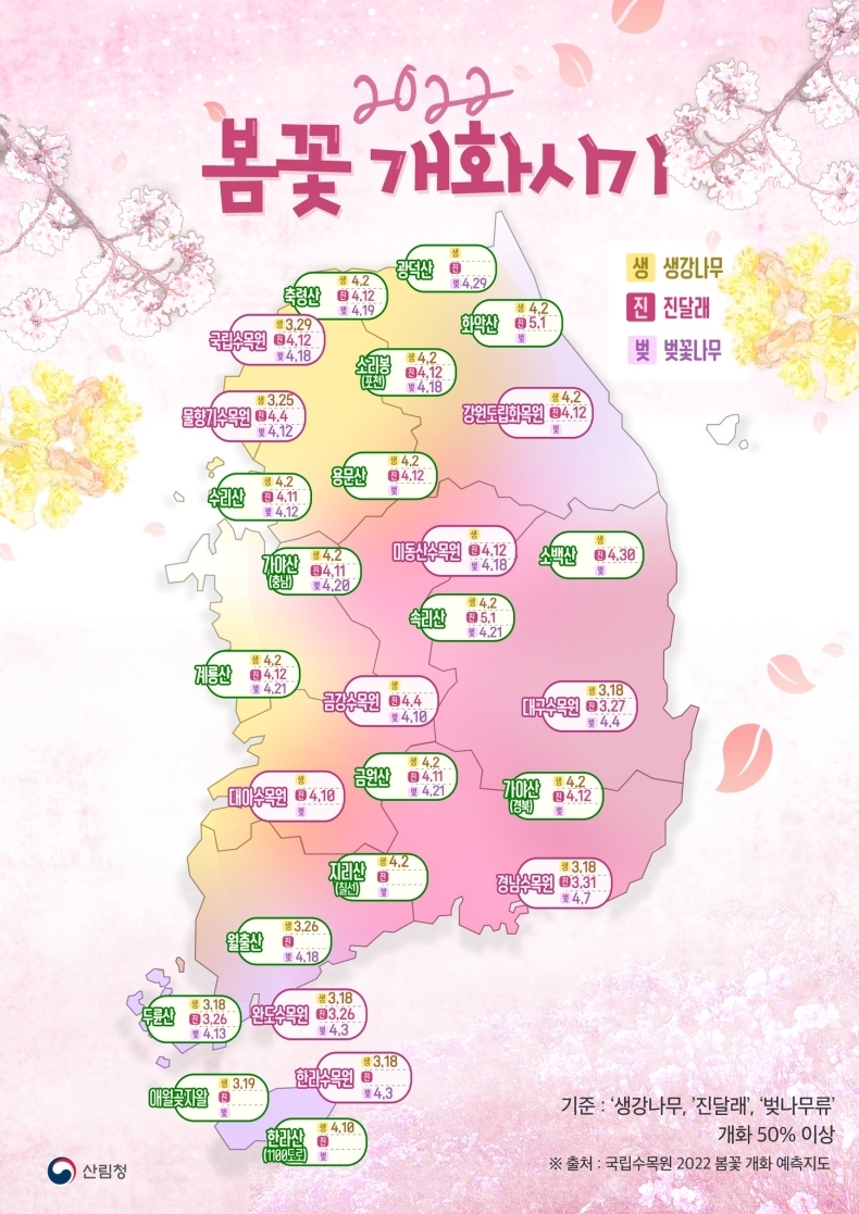 봄꽃 언제 필까?...전국 봄꽃 개화시기