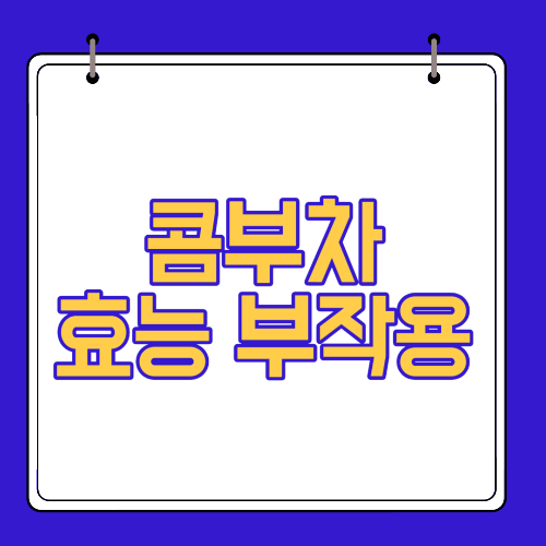  콤부차 효능 8가지 부작용 마시는법