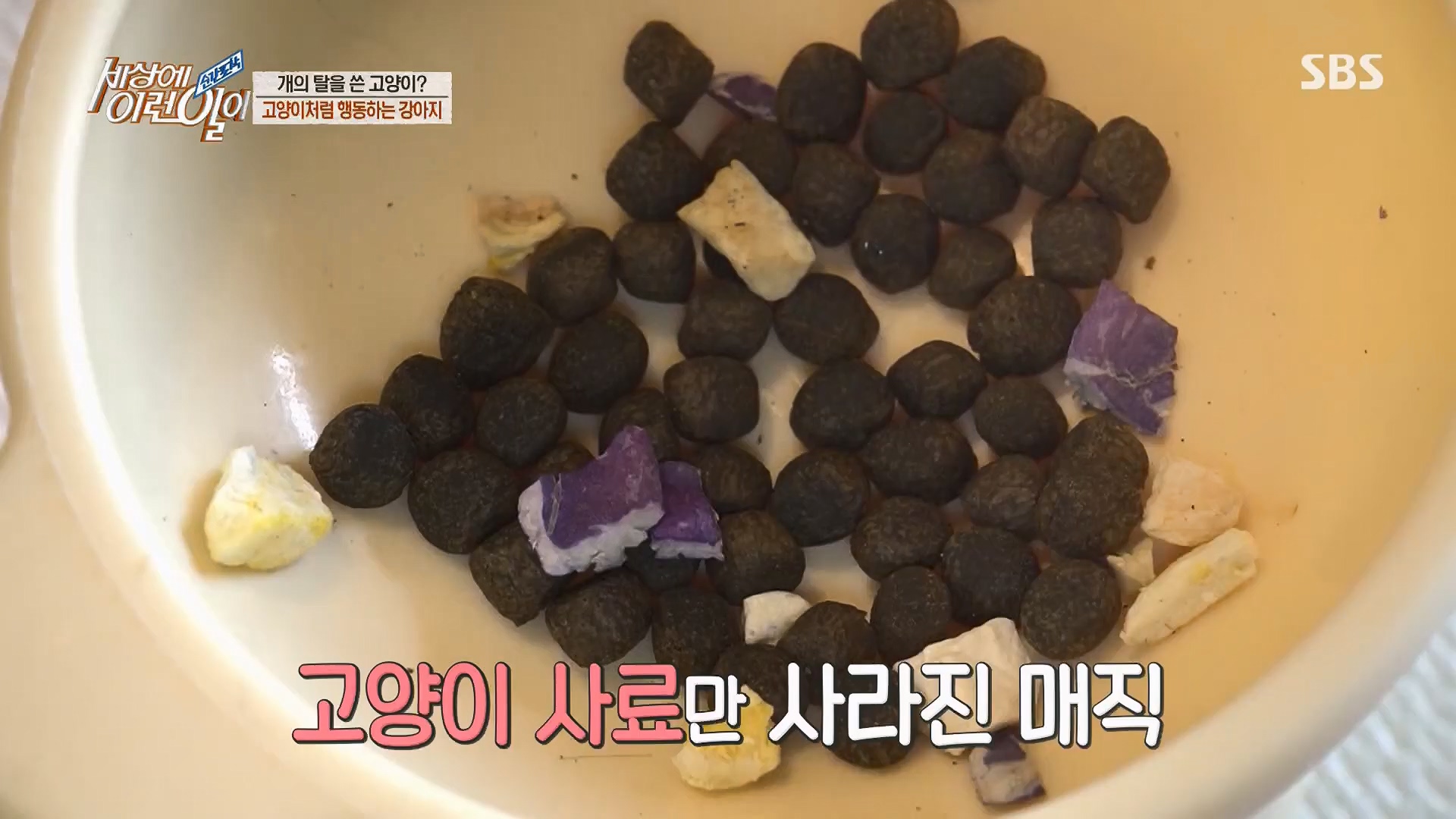 순간포착 세상에 이런일이.E1229.230509p.H264-F1RST.mp4_20230510_194444.357.jpg