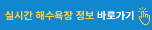 해수욕장 개장일