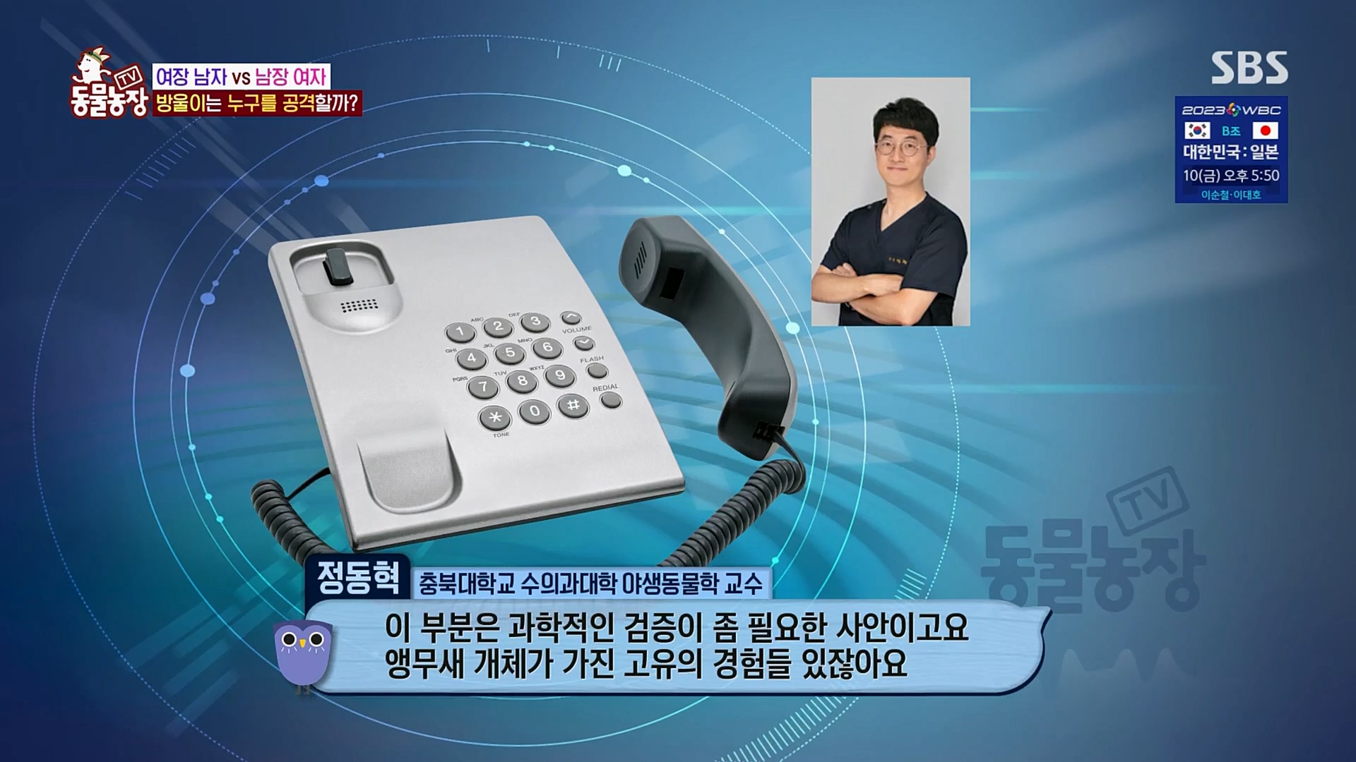 TV 동물농장.E1110.230305p.H264-F1RST.mp4_20230305_183146.839.jpg