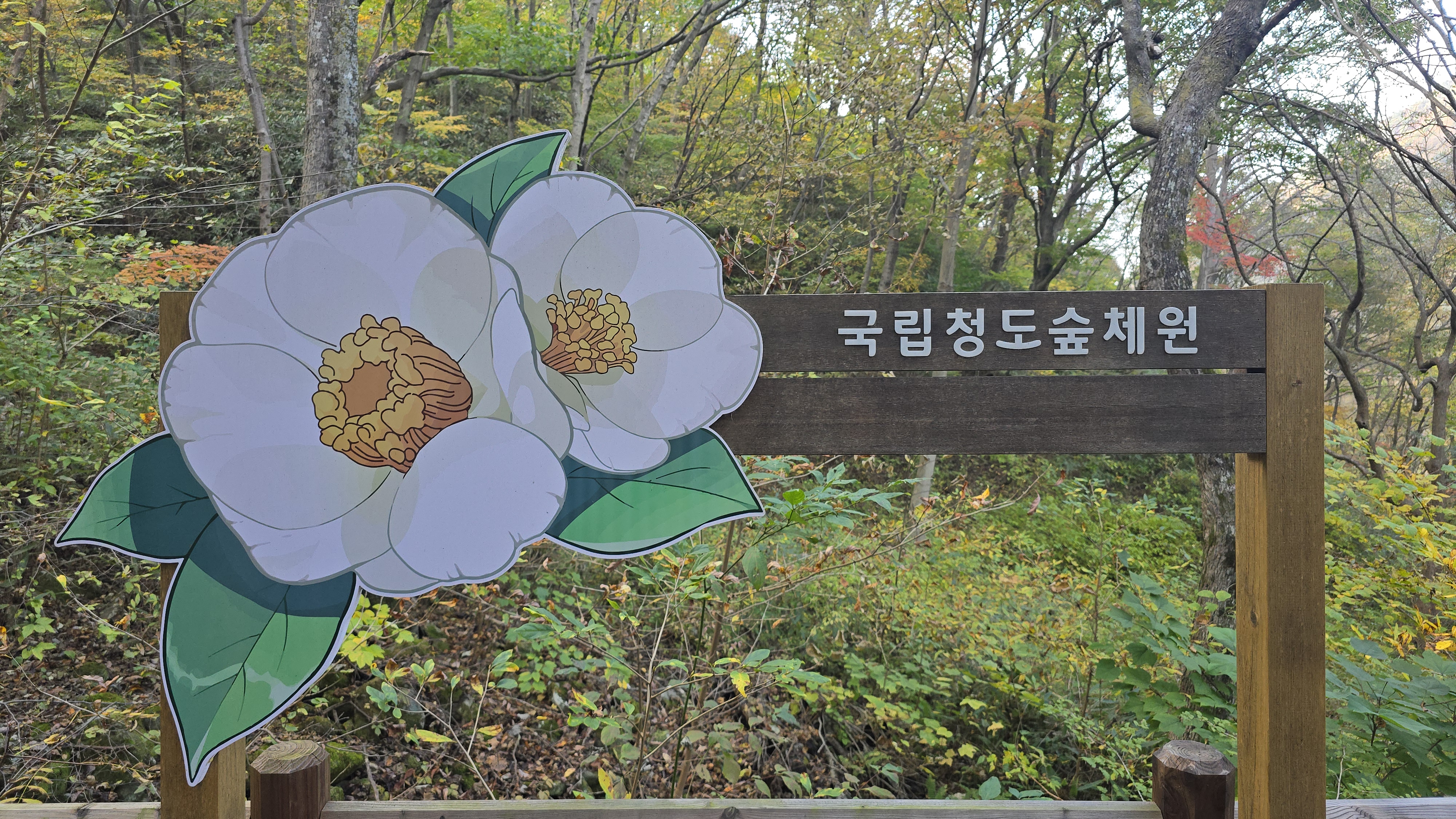 국립청도숲체원 이미지