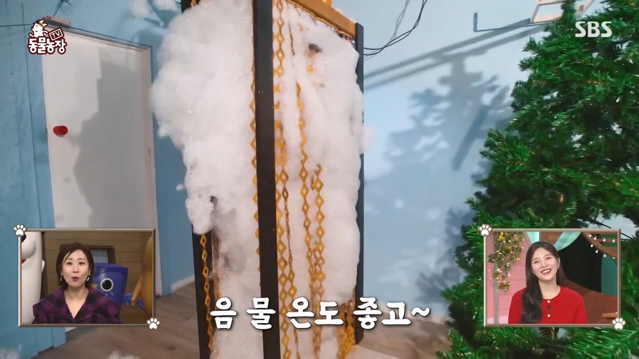 TV 동물농장.E1155.240122p-NEXT.mp4_20240121_145926.868.jpg