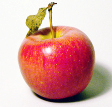 파워포인트 PPT 이미지 배경제거 투명하게 만들기