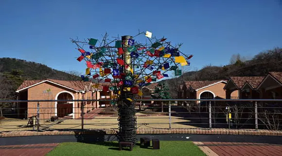 동해무릉건강숲