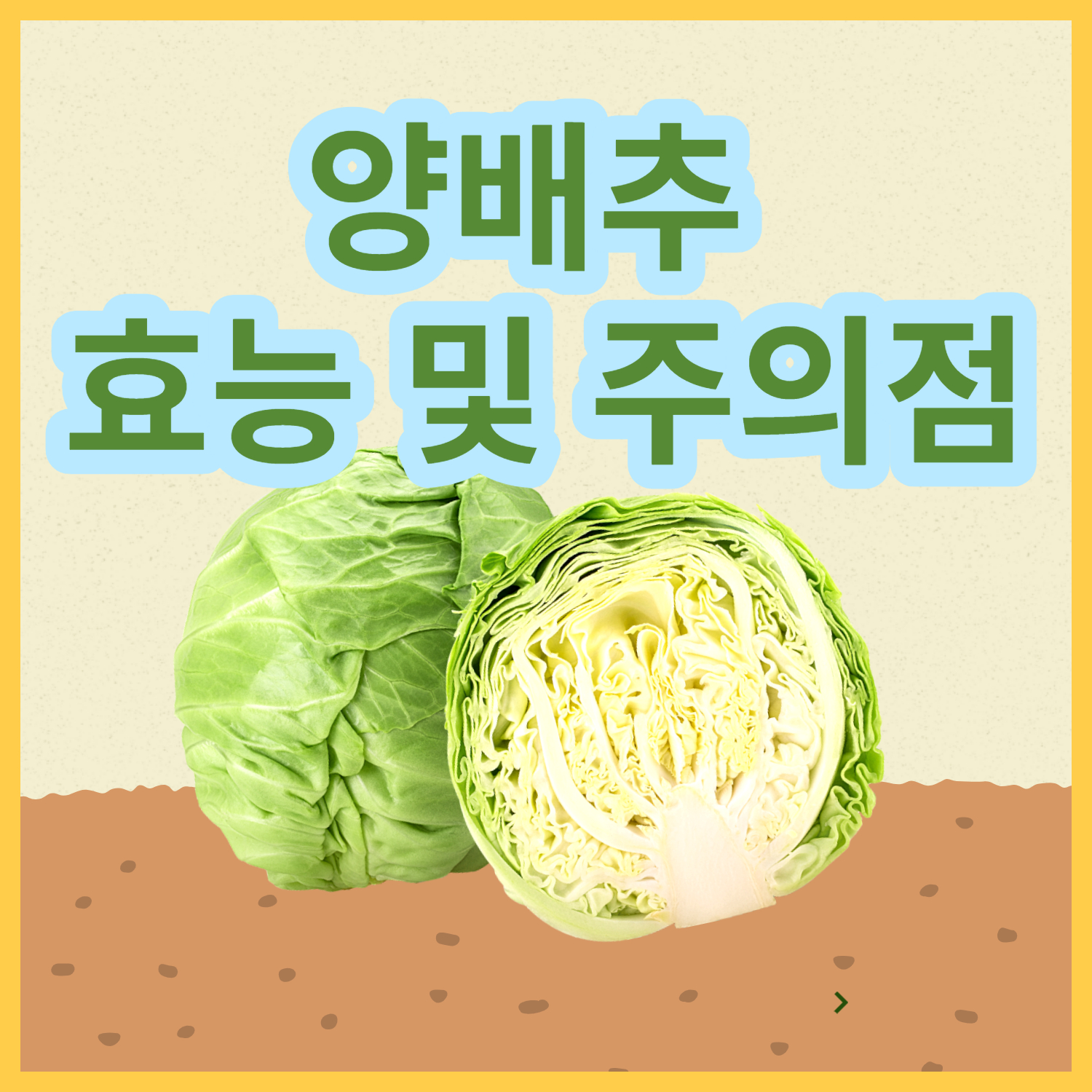  위염에 좋은 '양배추 '효능, 비타민U, 체액, 주의점, 레시피