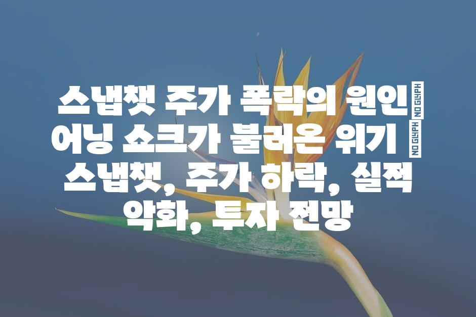 샘플 (45)