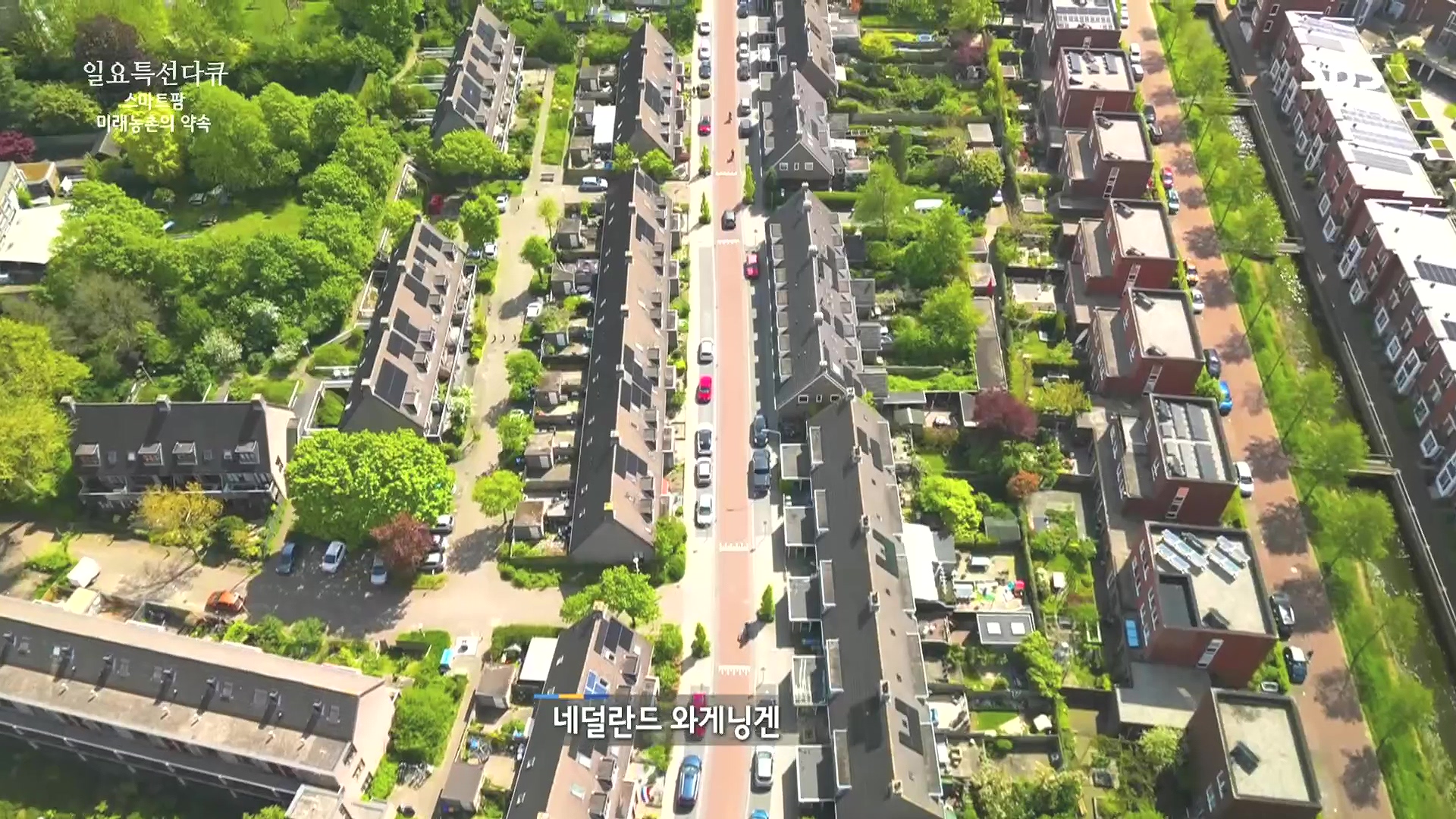 일요 특선 다큐멘터리.E348.240804p.H264-F1RST.mp4_20240805_200833.545.jpg