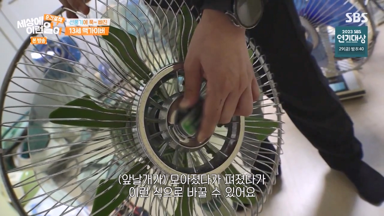 순간포착 세상에 이런일이.E1256.231217p-NEXT.mp4_20231217_172308.231.jpg
