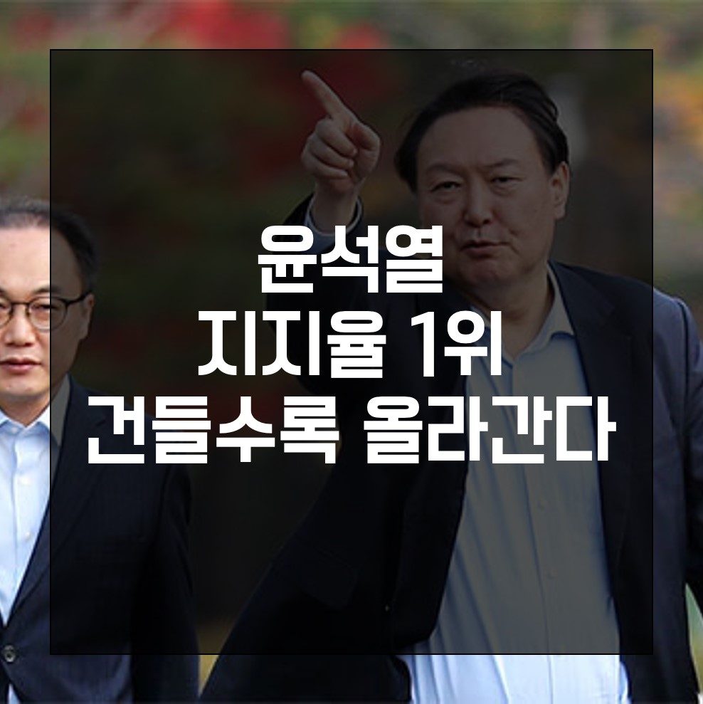  윤석열 지지율 1위, 건들수록 올라간다!