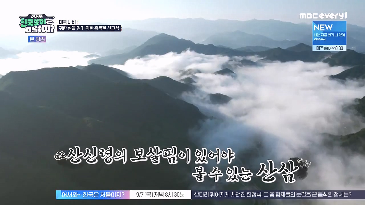 어서와 한국살이는 처음이지.E16.230905p-NEXT.mp4_20230906_202739.302.jpg