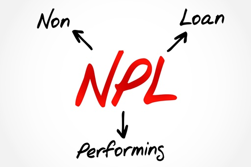 NPL 정의