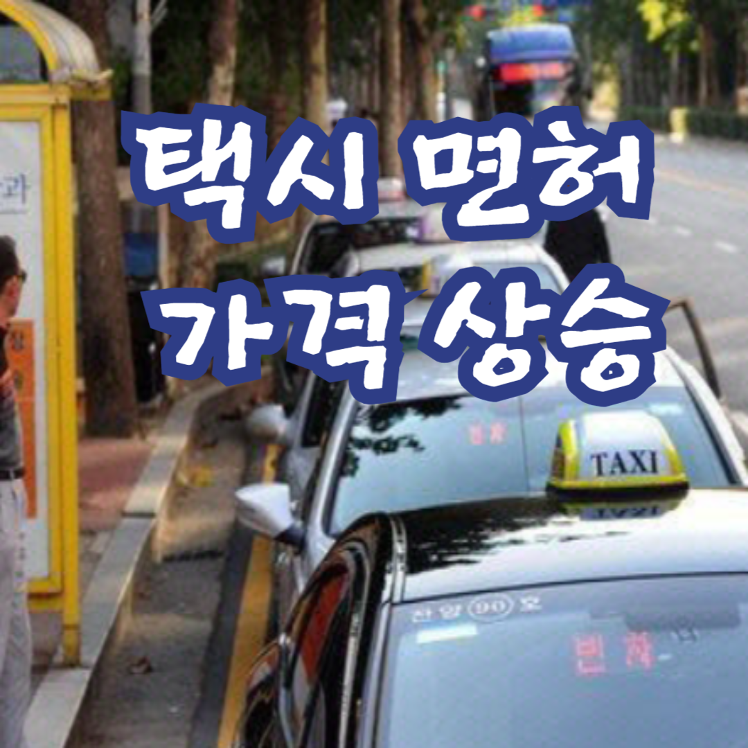 택시 면허 가격 상승