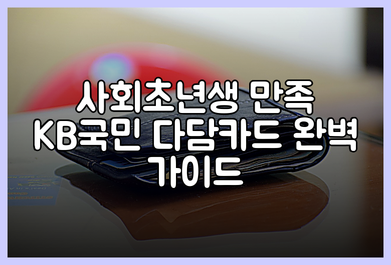 사회초년생 만족 KB국민 다담카드 완벽 가이드