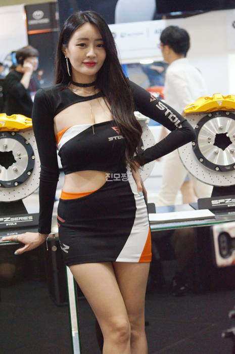 스톨츠 이미지